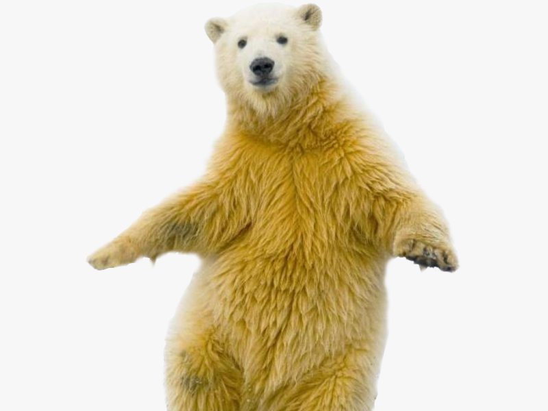 Our second time using their services since 2020 and our experience was beyond expectations.  They are everything you expect from a service co.  The second time I contacted them - he did an over the phone reset of our WIFI & Pentair App at NO CHARGE!  No Charge!  